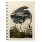 Audubon Grote Blauwe Heron moerasvogel Notitieboek (Voorkant)