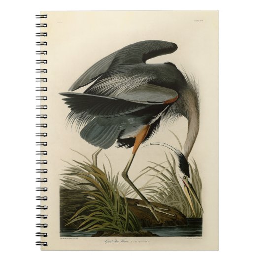 Audubon Grote Blauwe Heron moerasvogel Notitieboek (Voorkant)