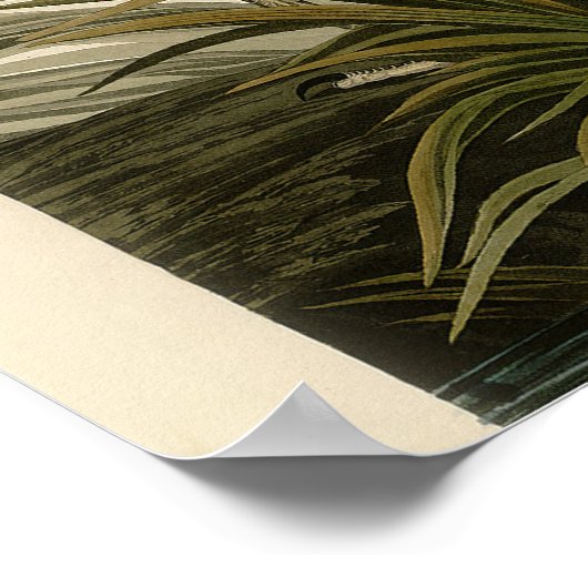 Audubon Grote Blauwe Heron moerasvogel Poster (Hoek)