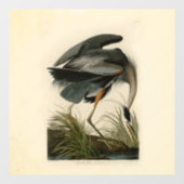 Audubon Grote Blauwe Heron moerasvogel Raamsticker (Vel)