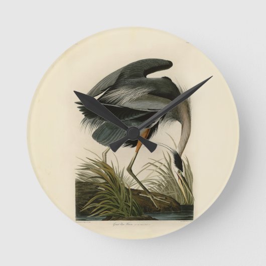 Audubon Grote Blauwe Heron moerasvogel Ronde Klok (Voorkant)