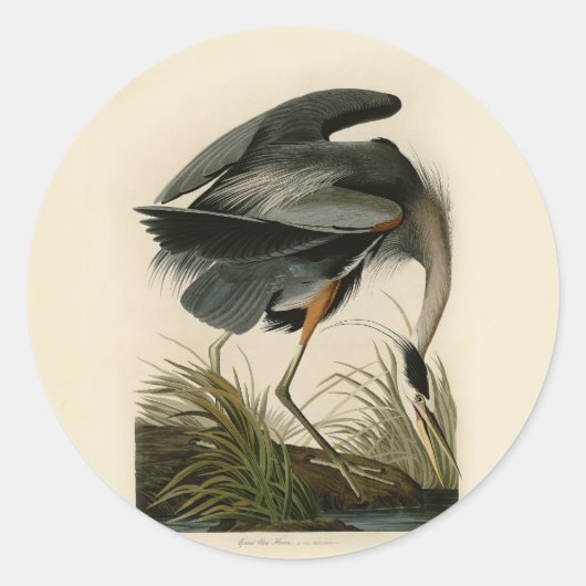 Audubon Grote Blauwe Heron moerasvogel Ronde Sticker (Voorkant)