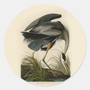 Audubon Grote Blauwe Heron moerasvogel Ronde Sticker