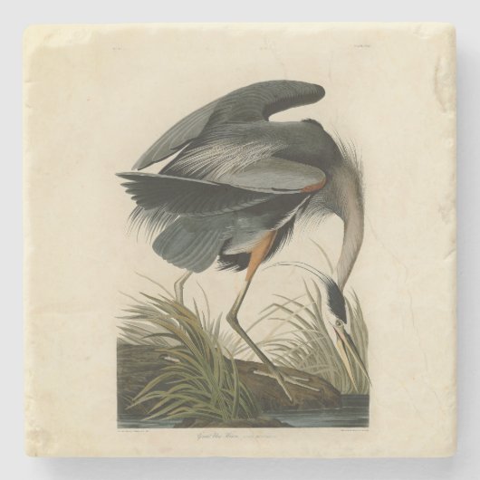 Audubon Grote Blauwe Heron moerasvogel Stenen Onderzetter (Voorkant)