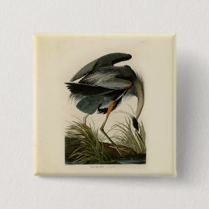 Audubon Grote Blauwe Heron moerasvogel Vierkante Button 5,1 Cm