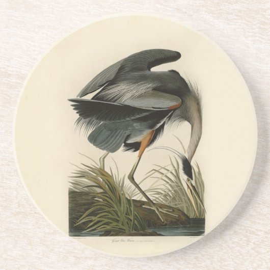 Audubon Grote Blauwe Heron moerasvogel Zandsteen Onderzetter (Voorkant)