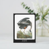 AUDUBON / grote blauwe reiger Briefkaart (Staand voorkant)