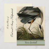 Audubon Grote Blauwe Reiger Moeras Vogel Kaart (Voorkant / Achterkant)