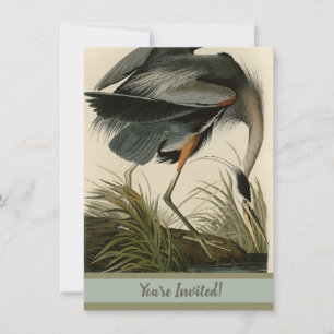 Audubon Grote Blauwe Reiger Moeras Vogel Kaart