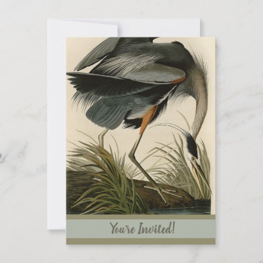 Audubon Grote Blauwe Reiger Moeras Vogel Kaart (Voorkant)