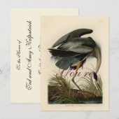 Audubon Grote Blauwe Reiger Moeras Vogel Kaart (Voorkant / Achterkant)
