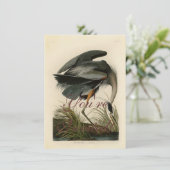 Audubon Grote Blauwe Reiger Moeras Vogel Kaart (Staand voorkant)