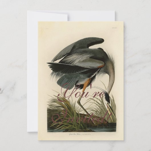 Audubon Grote Blauwe Reiger Moeras Vogel Kaart (Voorkant)