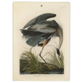 Audubon Grote Blauwe Reiger Moeras Vogel Klembord (Achterkant)