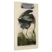 Audubon Grote Blauwe Reiger Moeras Vogel Klembord (Rechts)