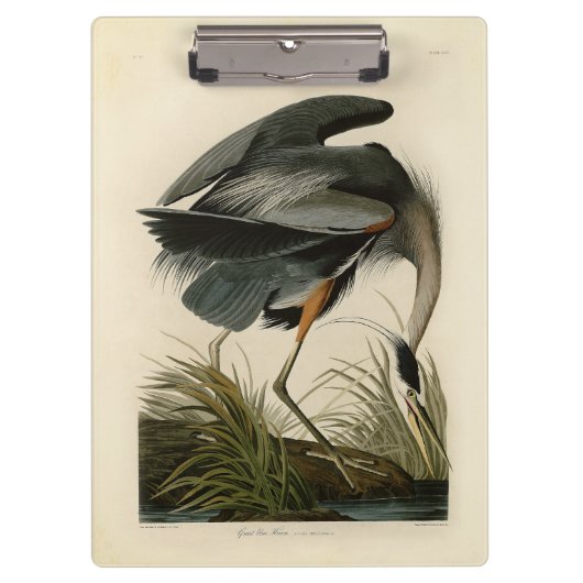 Audubon Grote Blauwe Reiger Moeras Vogel Klembord (Voorkant)