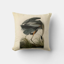 Audubon Grote Blauwe Reiger Moeras Vogel