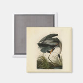 Audubon Grote Blauwe Reiger Moeras Vogel Magneet (Voorkant / Achterkant)