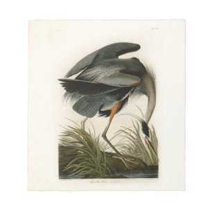 Audubon Grote Blauwe Reiger Moeras Vogel Notitieblok