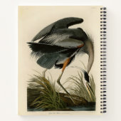 Audubon Grote Blauwe Reiger Moeras Vogel Notitieboek (Achterkant)