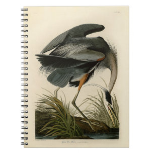 Audubon Grote Blauwe Reiger Moeras Vogel Notitieboek