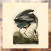 Audubon Grote Blauwe Reiger Moeras Vogel Raamsticker (Vel 2)