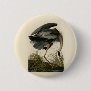 Audubon Grote Blauwe Reiger Moeras Vogel Ronde Button 5,7 Cm