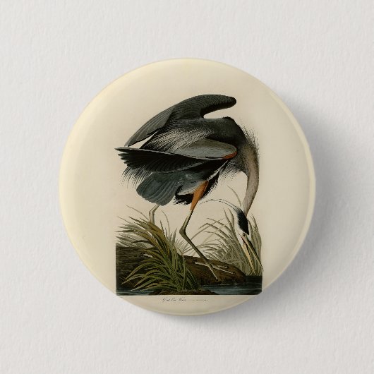 Audubon Grote Blauwe Reiger Moeras Vogel Ronde Button 5,7 Cm (Voorkant)
