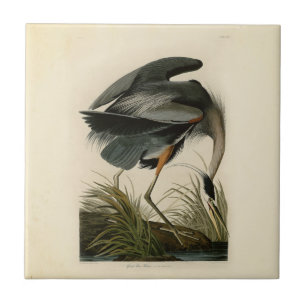 Audubon Grote Blauwe Reiger Moeras Vogel Tegeltje