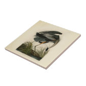Audubon Grote Blauwe Reiger Moeras Vogel Tegeltje (Zijkant)
