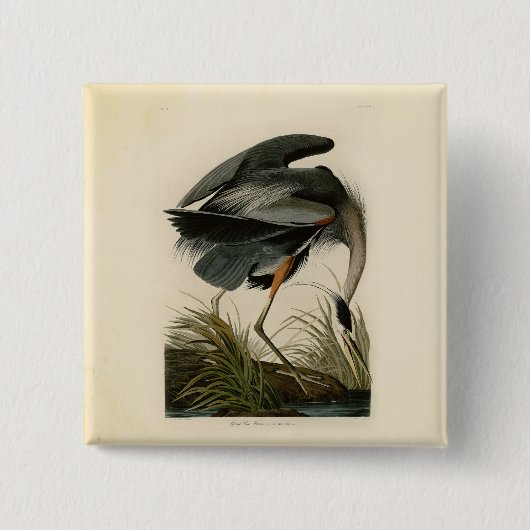 Audubon Grote Blauwe Reiger Moeras Vogel Vierkante Button 5,1 Cm (Voorkant)
