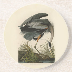 Audubon Grote Blauwe Reiger Moeras Vogel Zandsteen Onderzetter