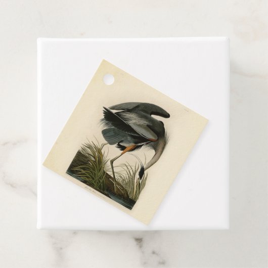 Audubon Grote Blauwe Reiger Moerasvogel Bedankjes Labels (In situ)