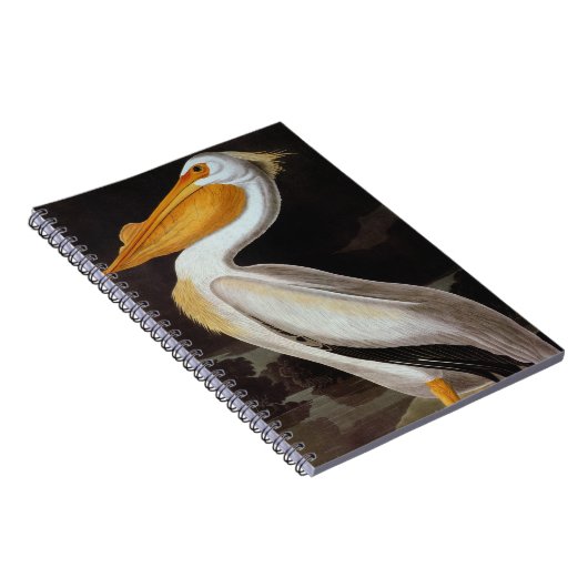 Audubon: Grote witte pelikaan Notitieboek (Rechterzijde)