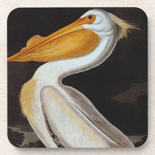 Audubon: Grote witte pelikaan Onderzetter (Voorkant)