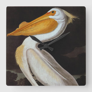 Audubon: Grote witte pelikaan Vierkante Klok