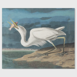 Audubon Grote Witte Reiger: Vintage Kustvogel Cadeaupapier