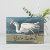Audubon Grote Witte Reiger: Vintage Kustvogel Kaart (Staand voorkant)
