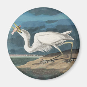 Audubon Grote Witte Reiger: Vintage Kustvogel Magneet