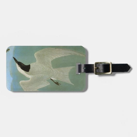 Audubon: Gull-Billing Tern Bagagelabel (Voorkant horizontaal)