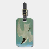 Audubon: Gull-Billing Tern Bagagelabel (Voorkant verticaal)