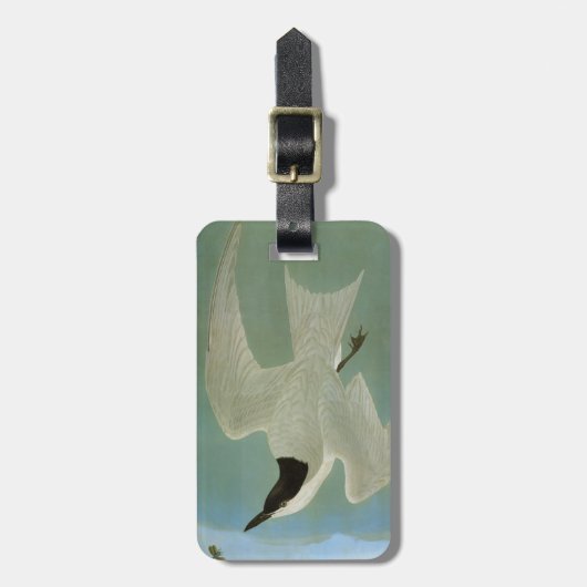 Audubon: Gull-Billing Tern Bagagelabel (Voorkant verticaal)