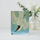 Audubon: Gull-Billing Tern Briefkaart (Staand voorkant)