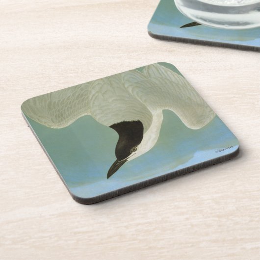 Audubon: Gull-Billing Tern Drankjes Onderzetter (Linkerzijde)