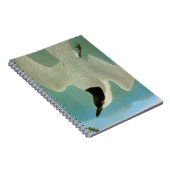 Audubon: Gull-Billing Tern Notitieboek (Rechterzijde)