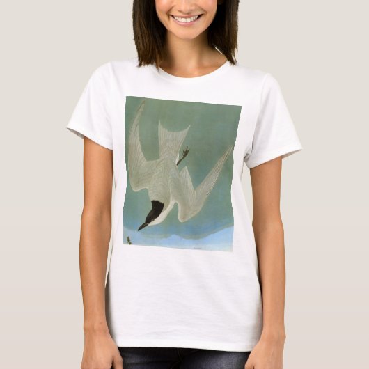 Audubon: Gull-Billing Tern T-shirt (Voorkant)