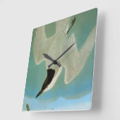 Audubon: Gull-Billing Tern Vierkante Klok (Hoek)