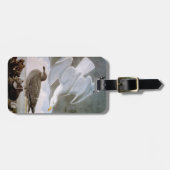 Audubon: Haring Gull Bagagelabel (Voorkant horizontaal)