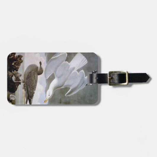 Audubon: Haring Gull Bagagelabel (Voorkant horizontaal)