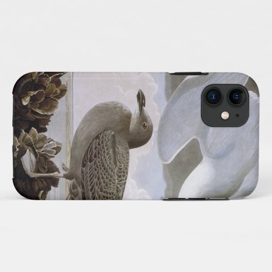 Audubon: Haring Gull Case-Mate iPhone Case (Achterkant (horizontaal))